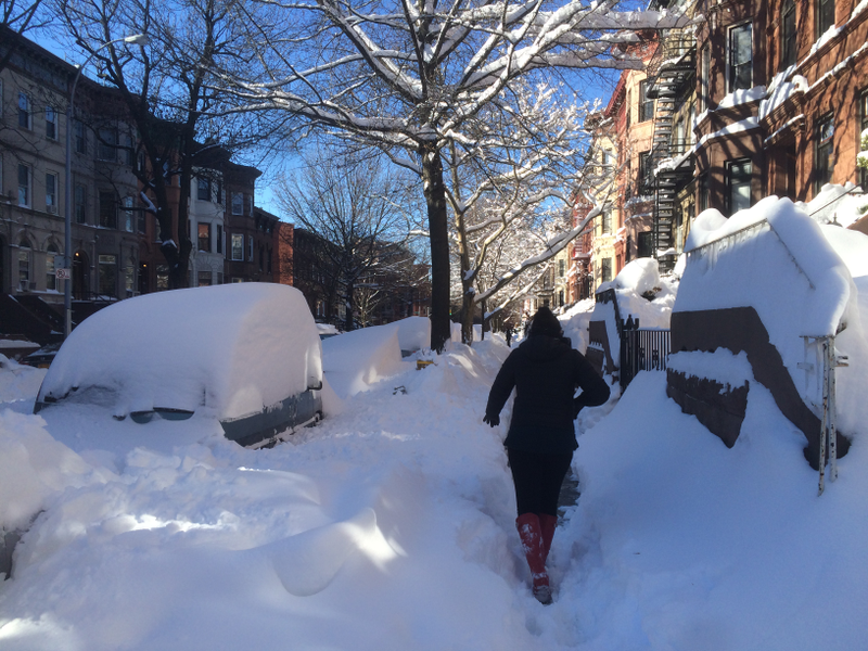 Illustration for article titled A Blizzard Grows in Brooklyn